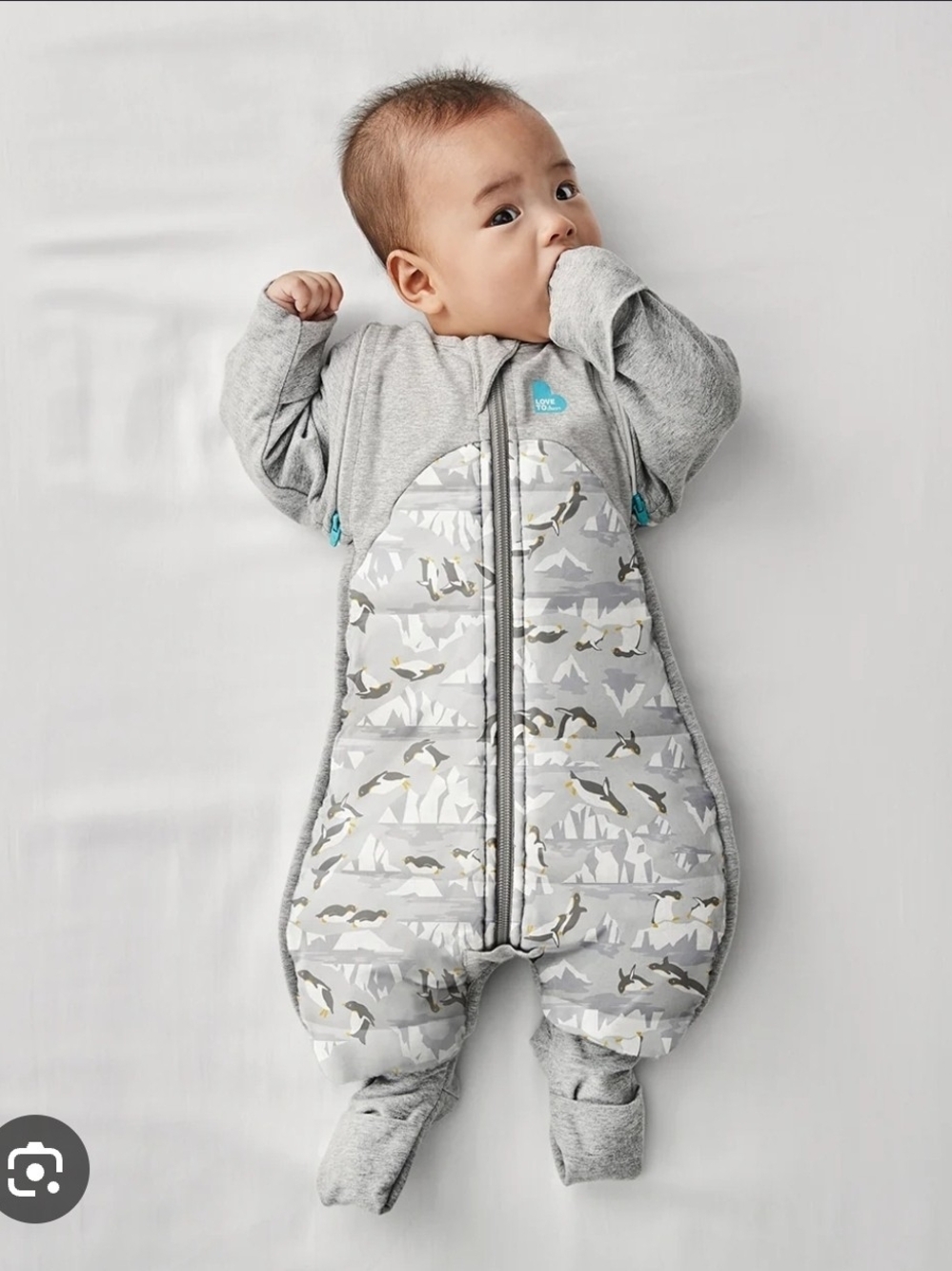 Love To Dream Transitional Sleep Sack Suit in Light Gray Penguin Print 3.5 Tog
